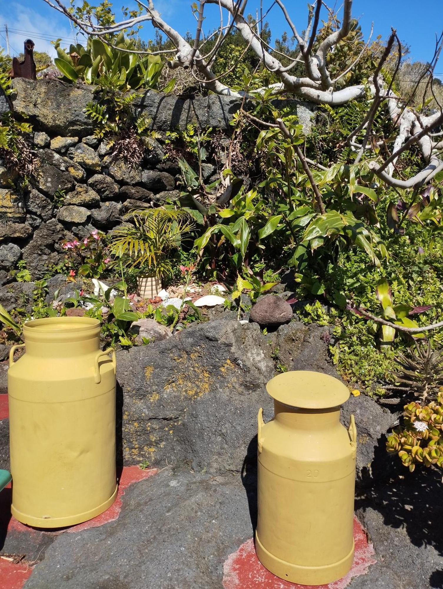 Вилла Lobo Do Mar Calheta de Nesquim Экстерьер фото